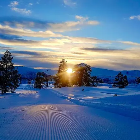 The Nordic Retreat - *