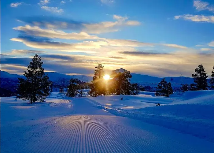 The Nordic Retreat - *