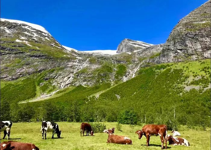 The Nordic Retreat - Stryn