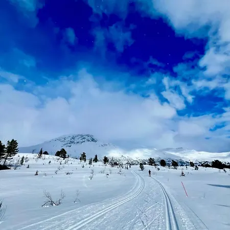 The Nordic Retreat - * Stryn